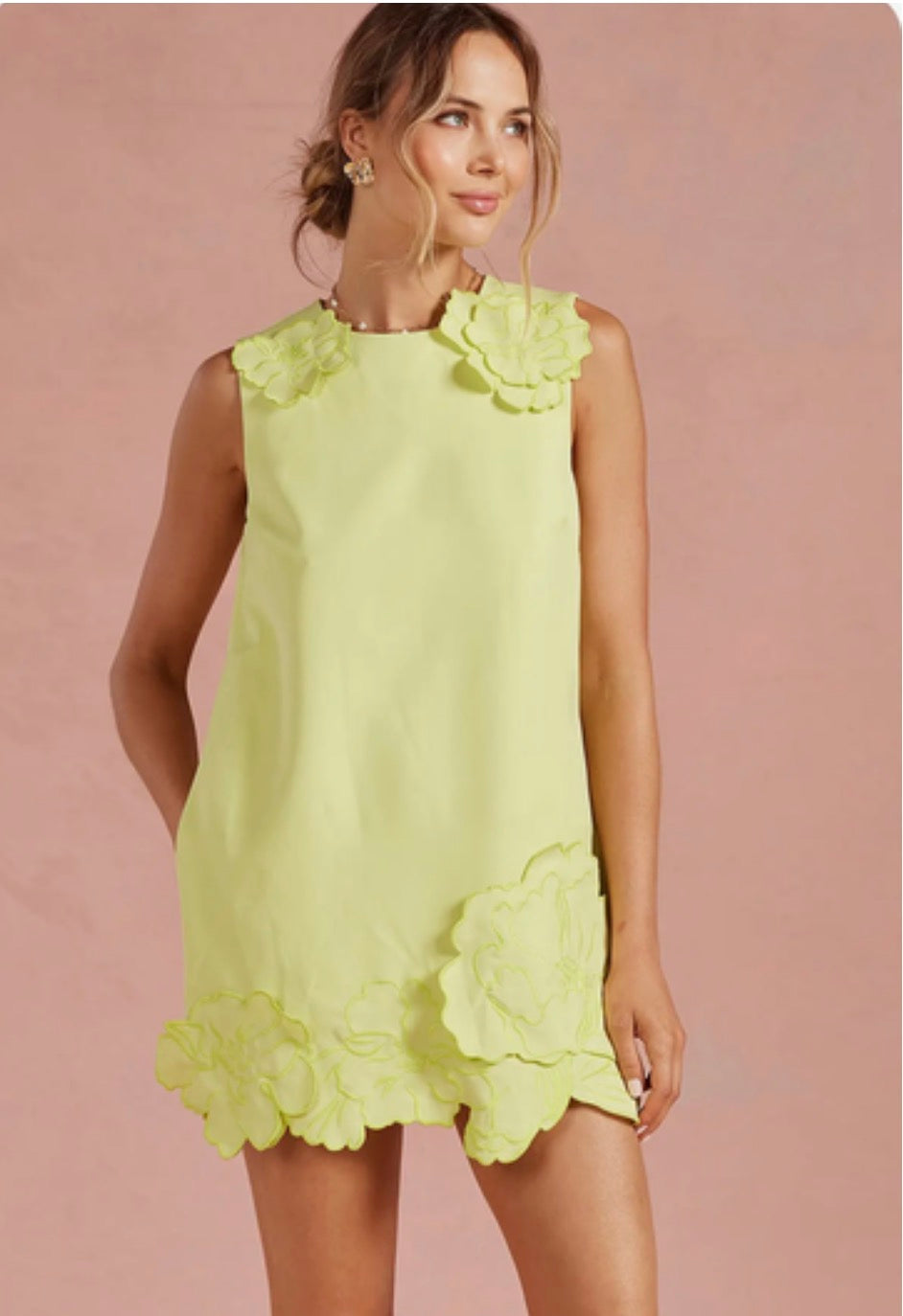 The Arden Mini Dress