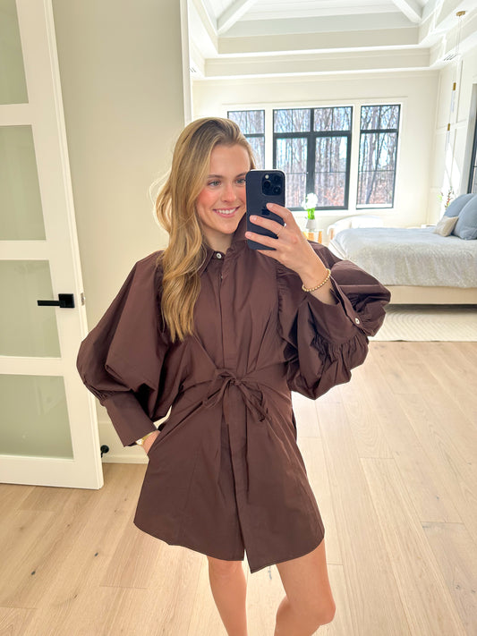 The Brynn Tie-Waist Mini Dress - Mocha